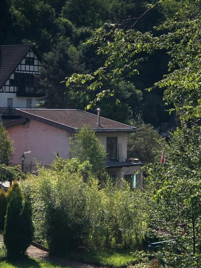 Ferienhaus Waldbaden Im Nationalpark Eifel- Am Bach シュライデン エクステリア 写真