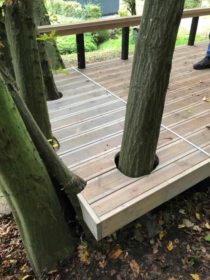 Ferienhaus Waldbaden Im Nationalpark Eifel- Am Bach シュライデン エクステリア 写真