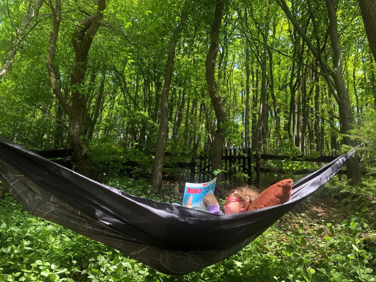 Ferienhaus Waldbaden Im Nationalpark Eifel- Am Bach シュライデン エクステリア 写真
