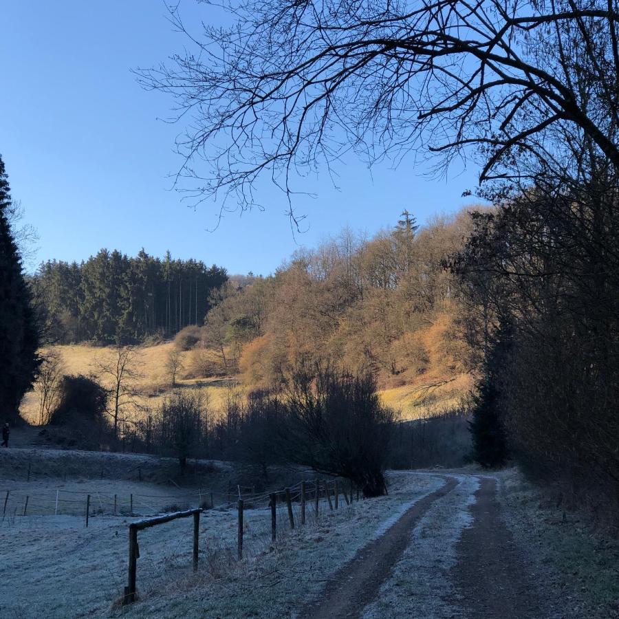 Ferienhaus Waldbaden Im Nationalpark Eifel- Am Bach シュライデン エクステリア 写真