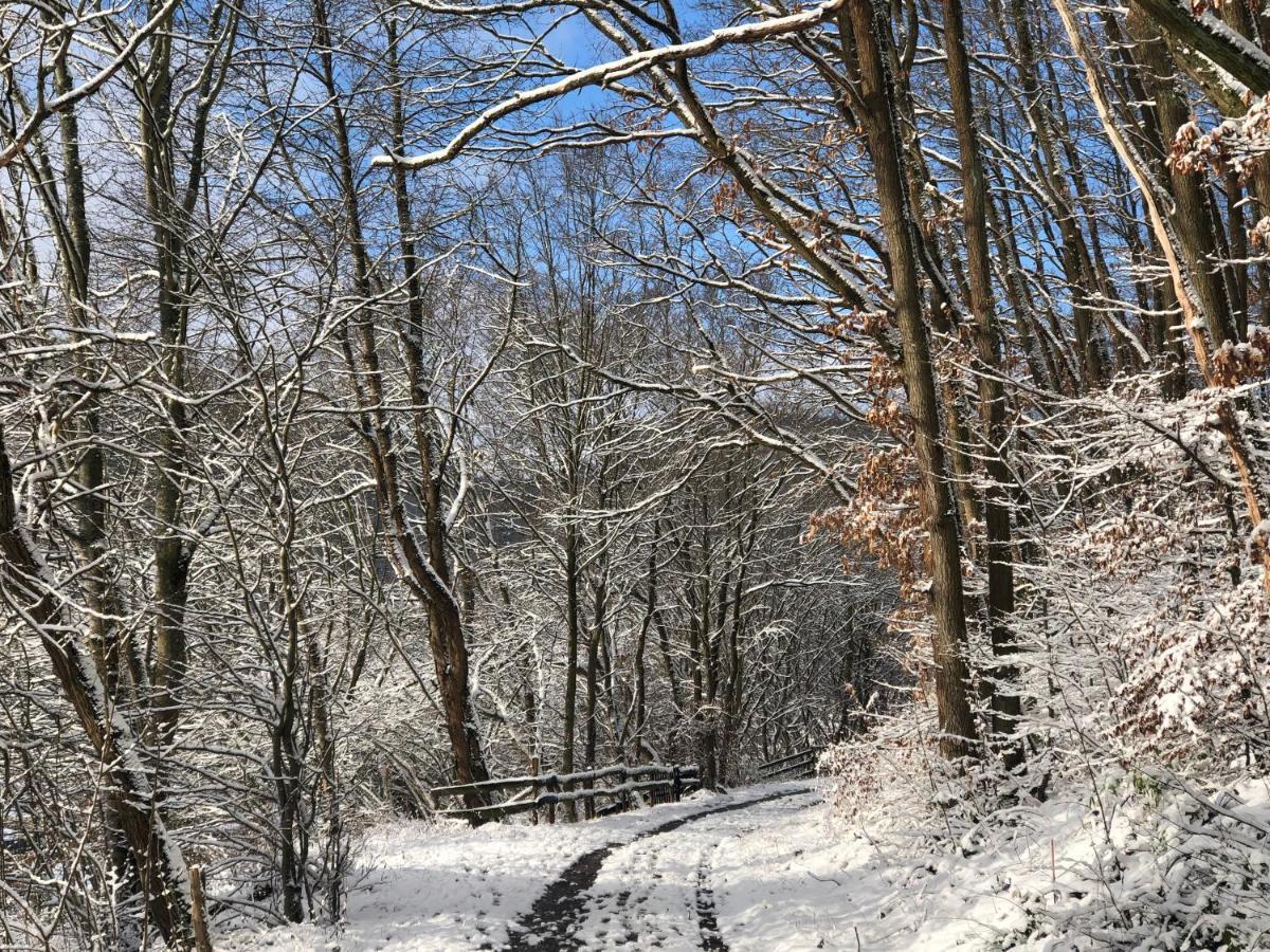 Ferienhaus Waldbaden Im Nationalpark Eifel- Am Bach シュライデン エクステリア 写真