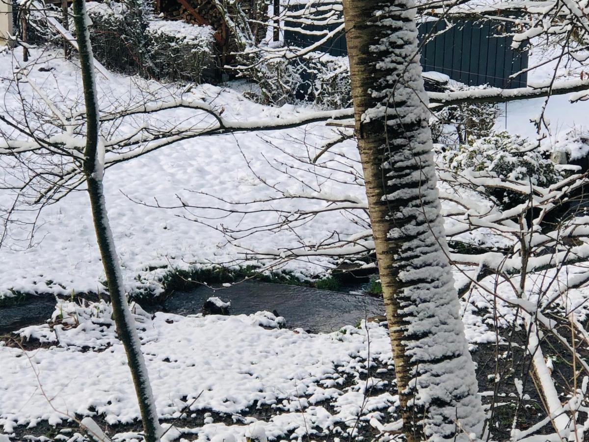 Ferienhaus Waldbaden Im Nationalpark Eifel- Am Bach シュライデン エクステリア 写真