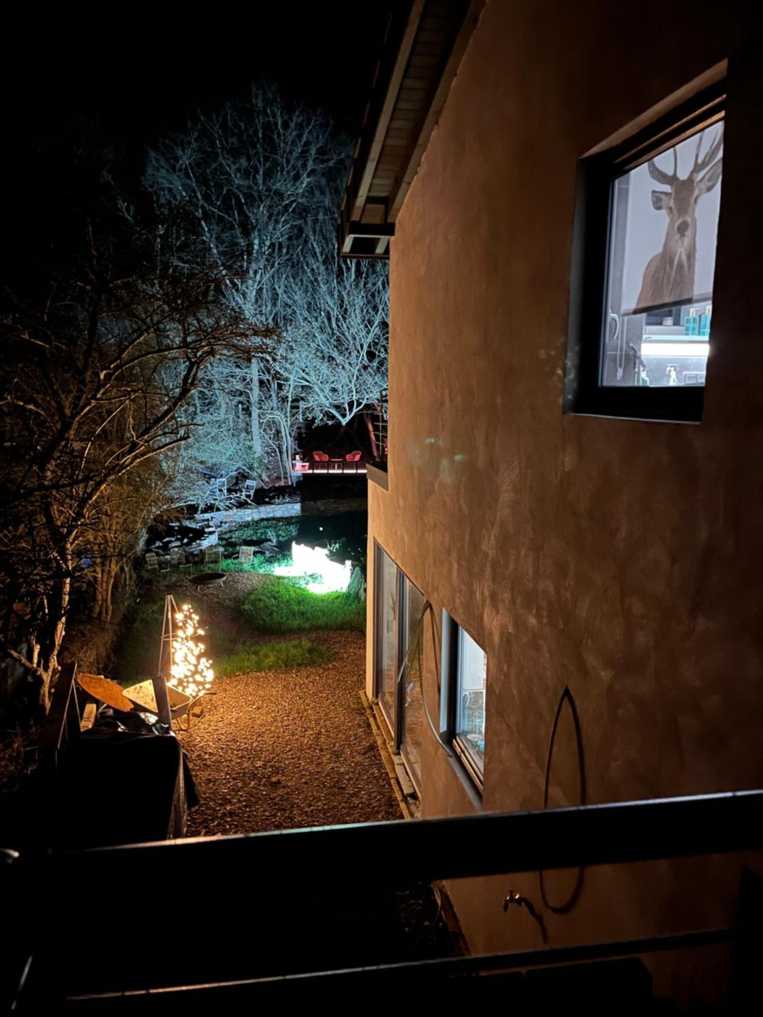 Ferienhaus Waldbaden Im Nationalpark Eifel- Am Bach シュライデン エクステリア 写真