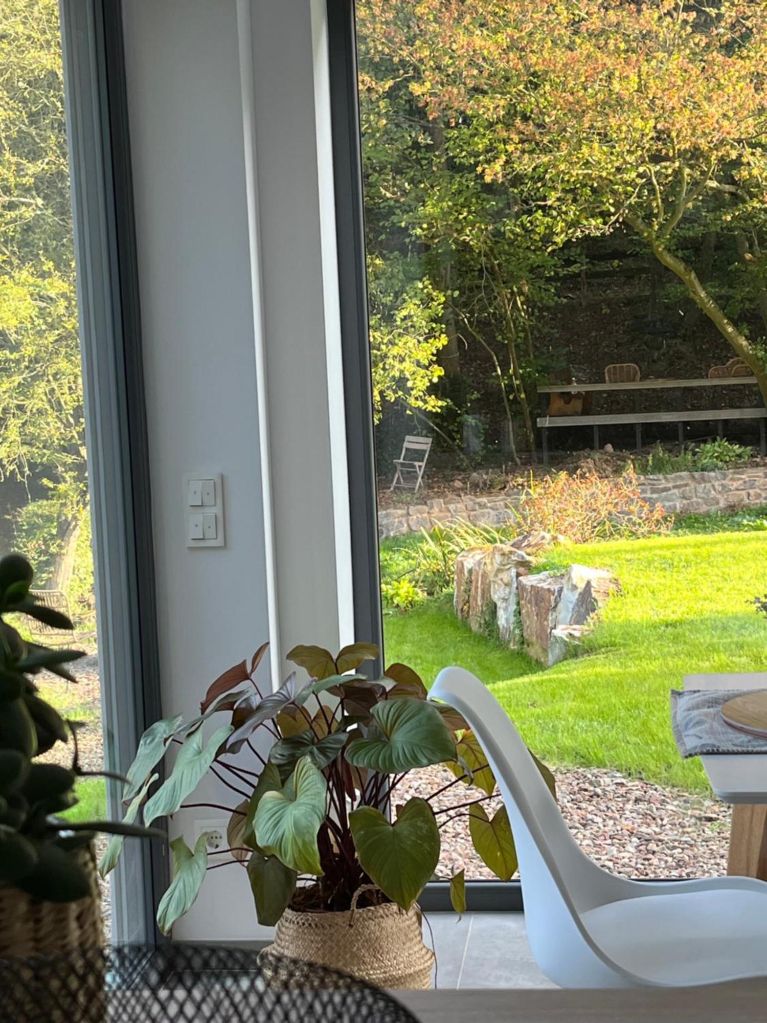 Ferienhaus Waldbaden Im Nationalpark Eifel- Am Bach シュライデン エクステリア 写真